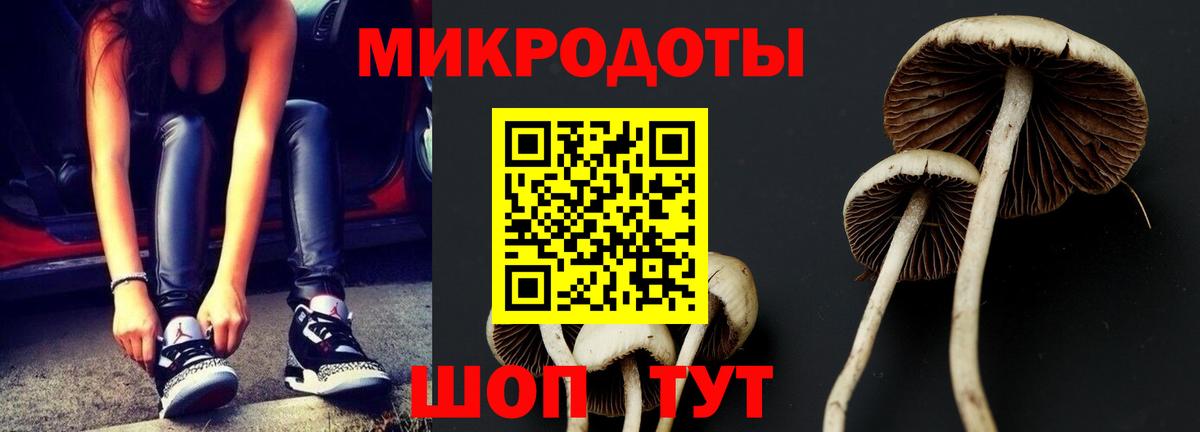 купить наркоту  Псилоцибиновые грибы Cubensis  Большой Камень  Вход с VPN  Псилоцибиновые грибы MAGIC MUSHROOMS 